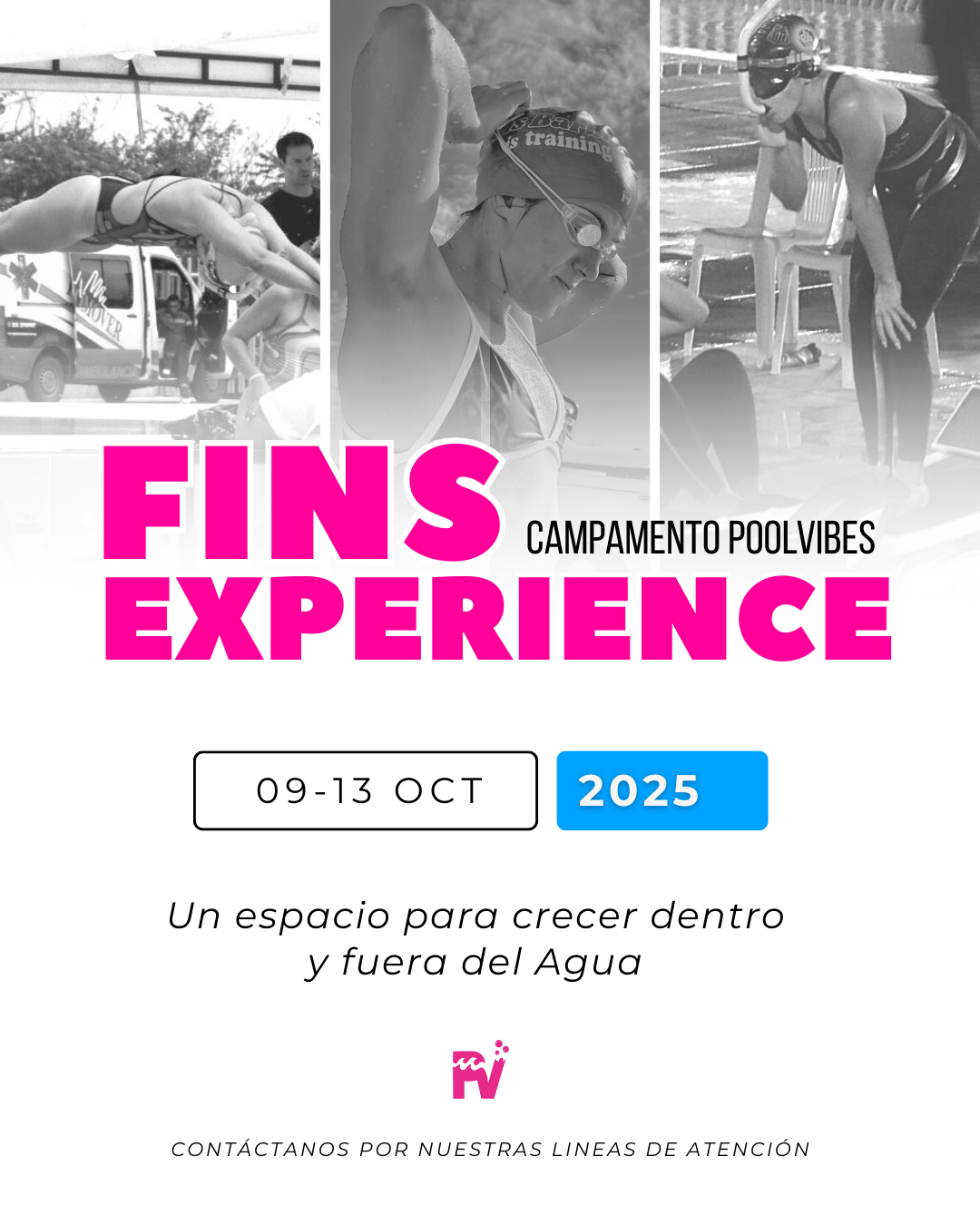 Campamento FinsExperience 2025