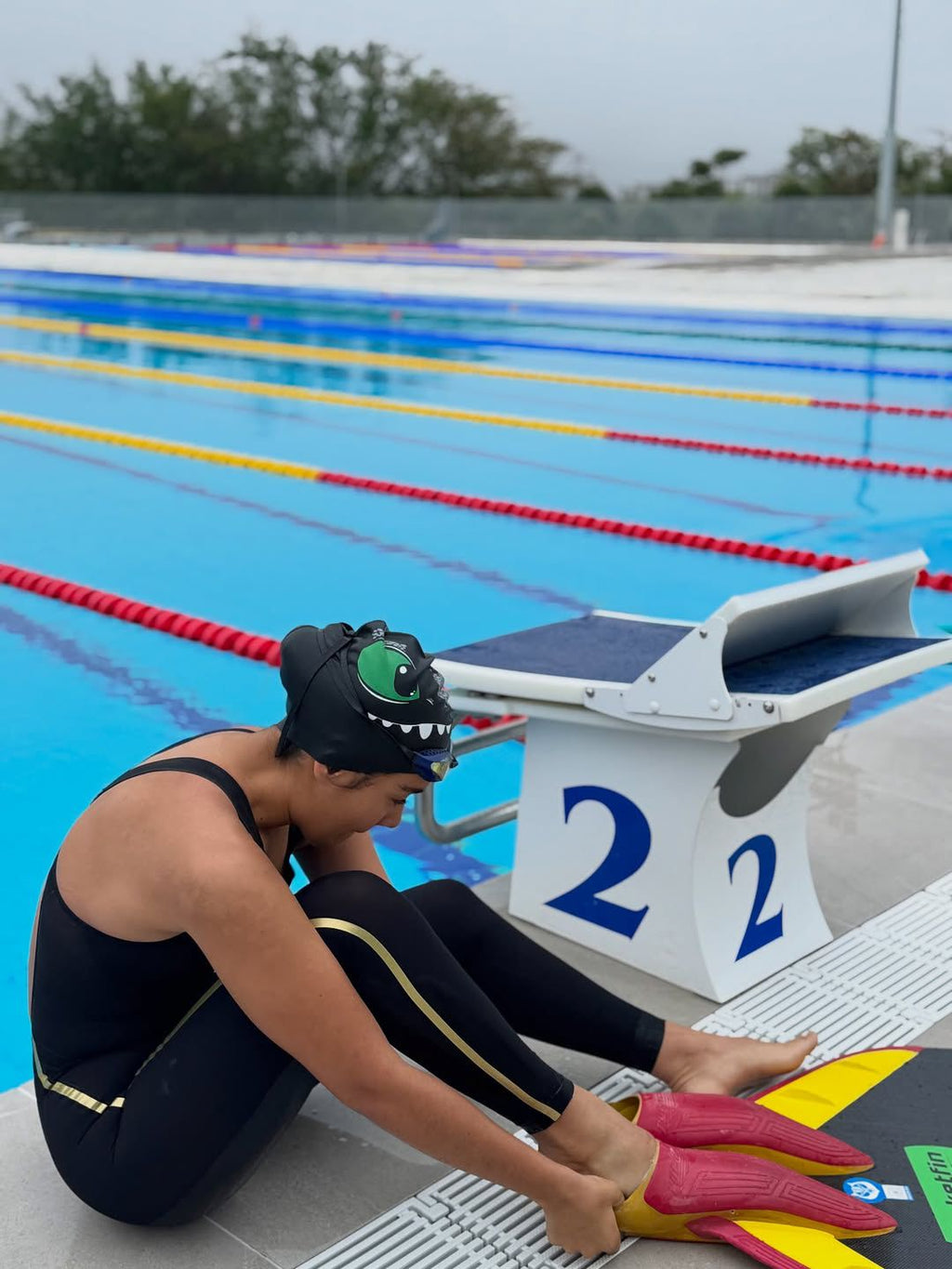 Chimuelo / Gorro de Natación