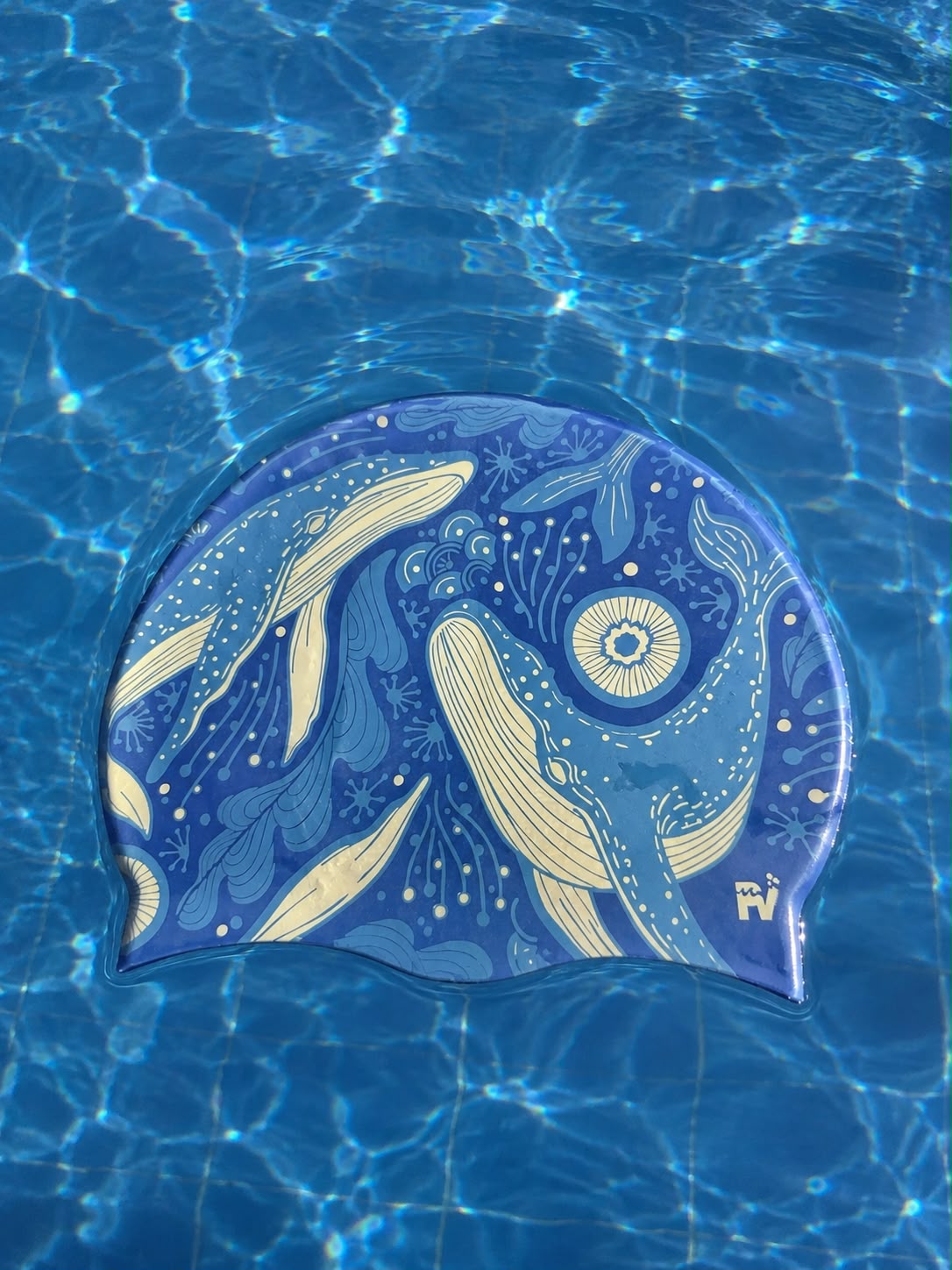 BALLENAS
